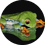 Christian